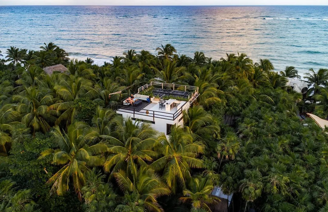 Olas Tulum-1