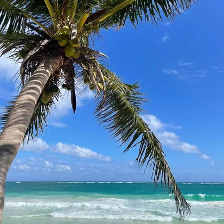 Olas Tulum-2